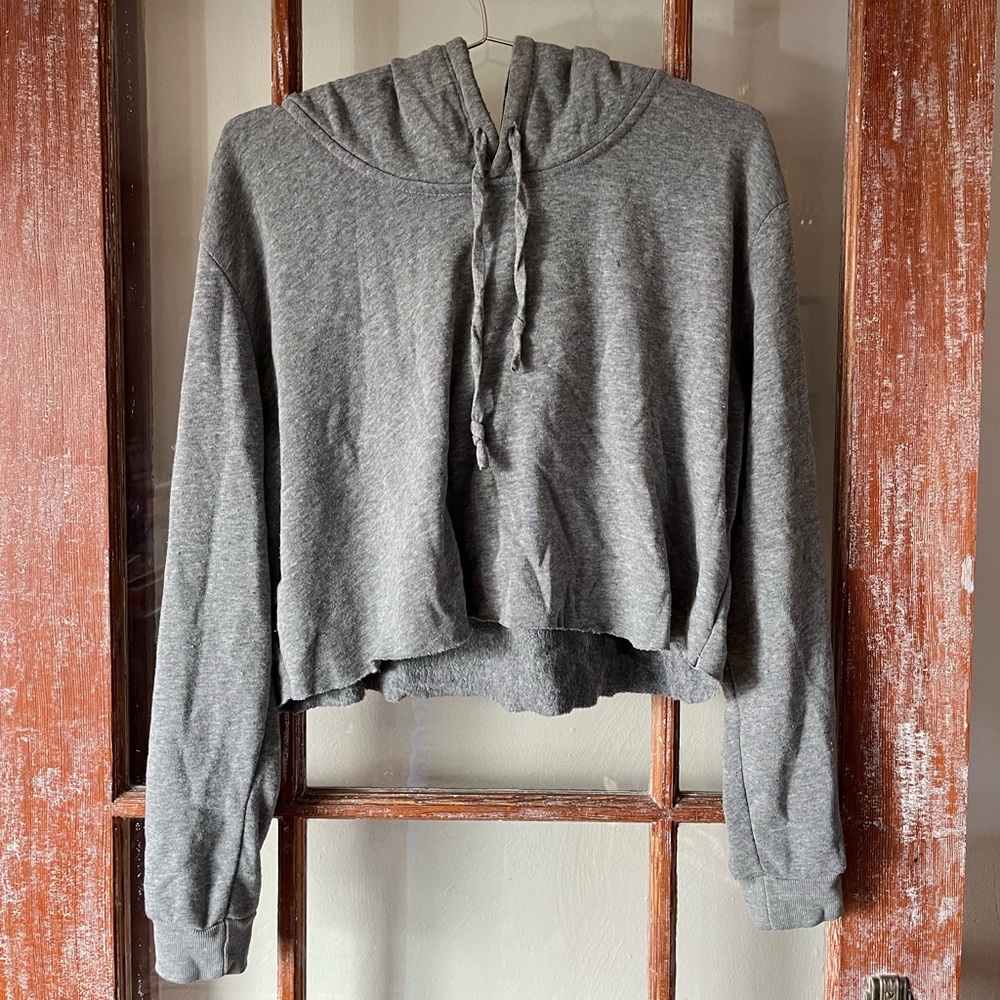 Cropped Grey Hoodie Brandy Melville